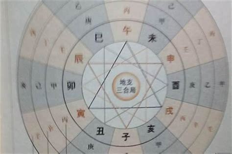 天相坐命|天相星入命宫是什么意思？天相星独坐命宫详解！